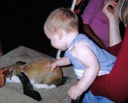 State Fair petting bunny.jpg